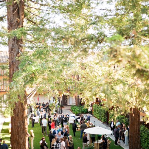 People gather outdoors in a sunny garden, mingling near tall trees, with tables, a white umbrella, and greenery all around, festive and social.