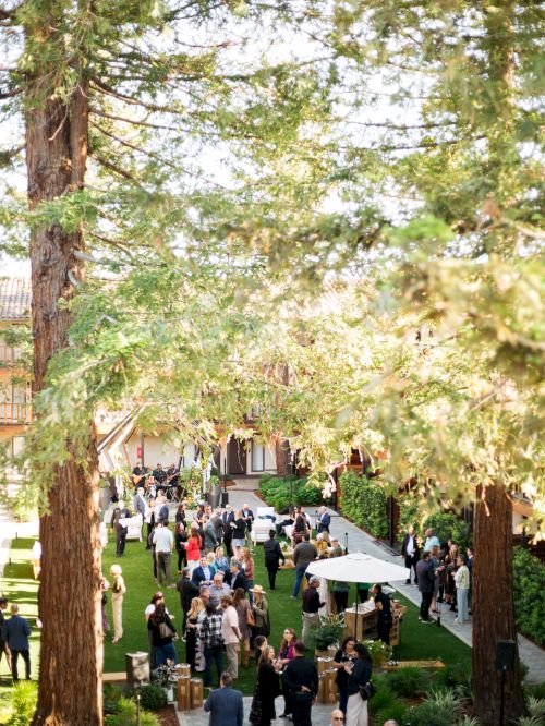 People gather outdoors in a sunny garden, mingling near tall trees, with tables, a white umbrella, and greenery all around, festive and social.