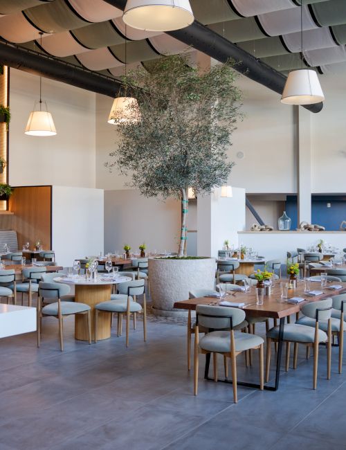 A modern, airy dining hall with many wooden tables and chairs, greenery, hanging lamps, and a teal-blue accent wall with a few decorative elements. End.