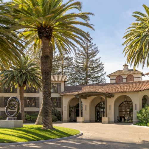 A sunny street lined with tall palm trees and arches on a warm, inviting campus or resort avenue.