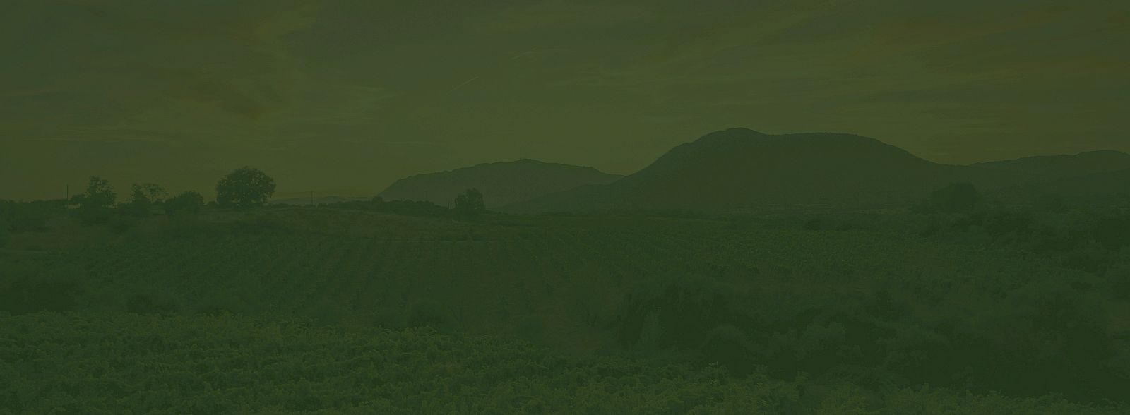 A hazy green-tinted landscape with rolling hills, distant mountains, and low vegetation under a subdued sky.
