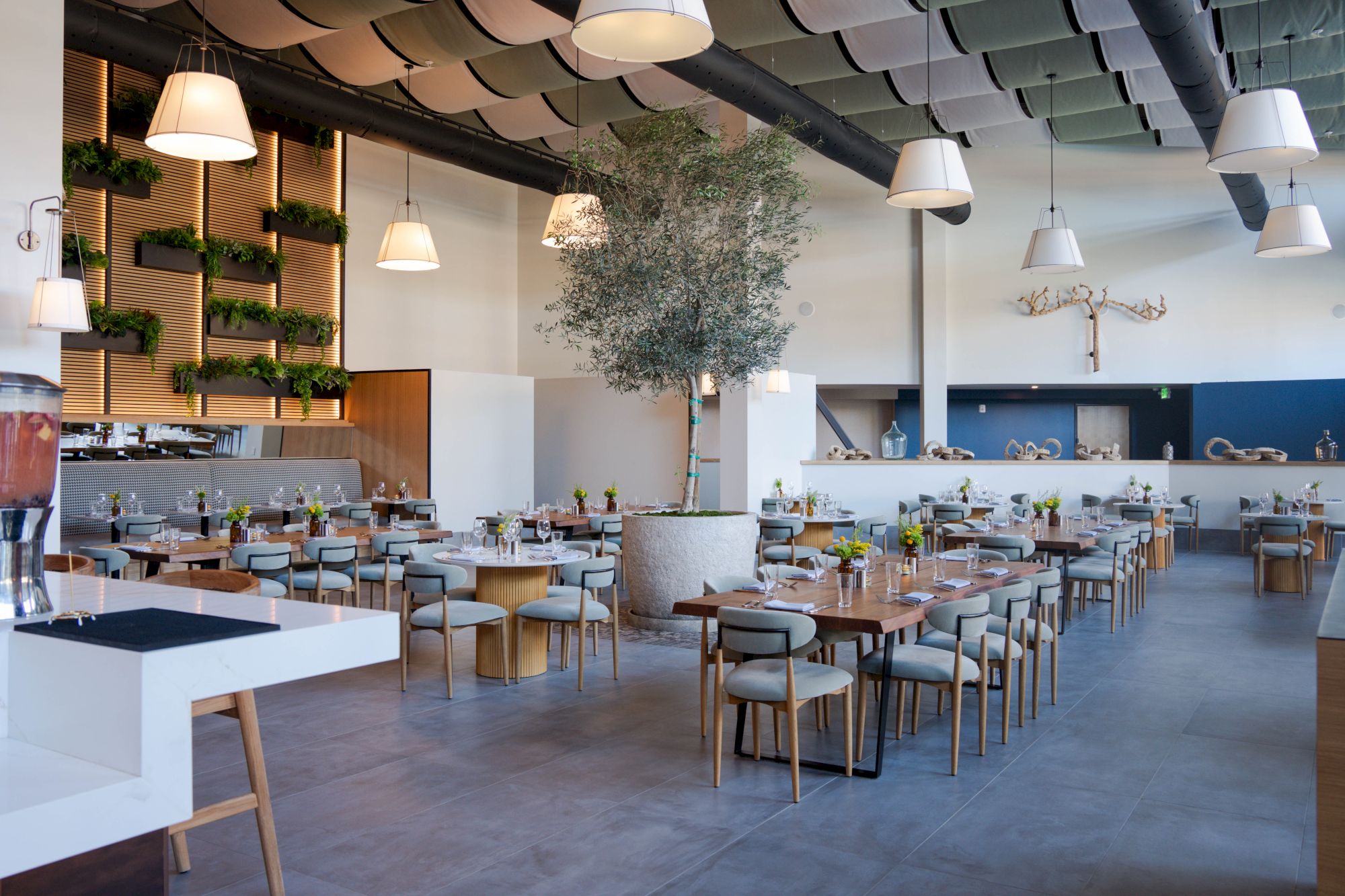 Modern airy cafe with wooden tables, light chairs, hanging lamps, and a tall tree in the center; open seating and a blue accent wall.