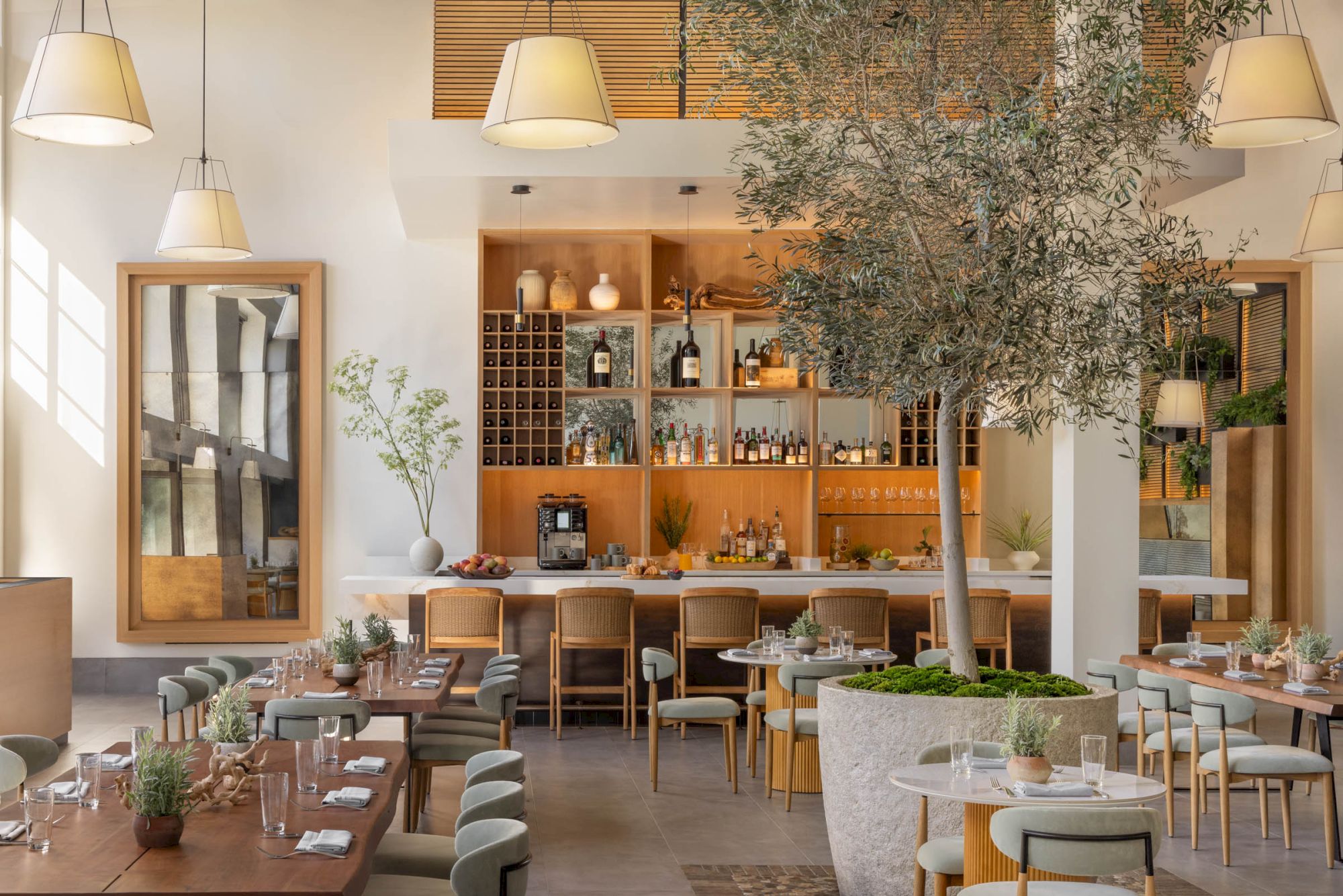 A bright restaurant bar with hanging lamps, a tall bamboo tree, and shelves of wine bottles behind a wooden counter, with tables set for dining.