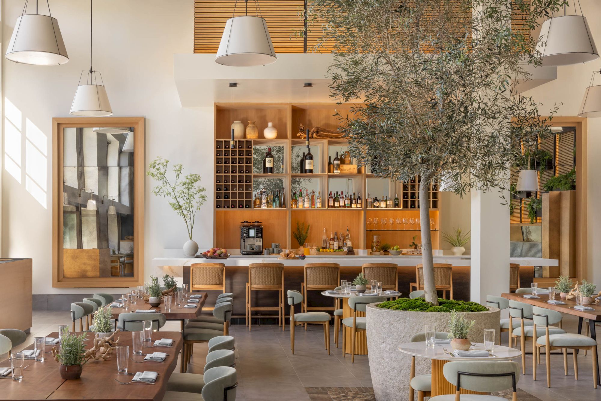 A stylish restaurant interior with a bar wall of wine bottles, pendant lights, and large leafy trees inside, creating a serene dining space.
