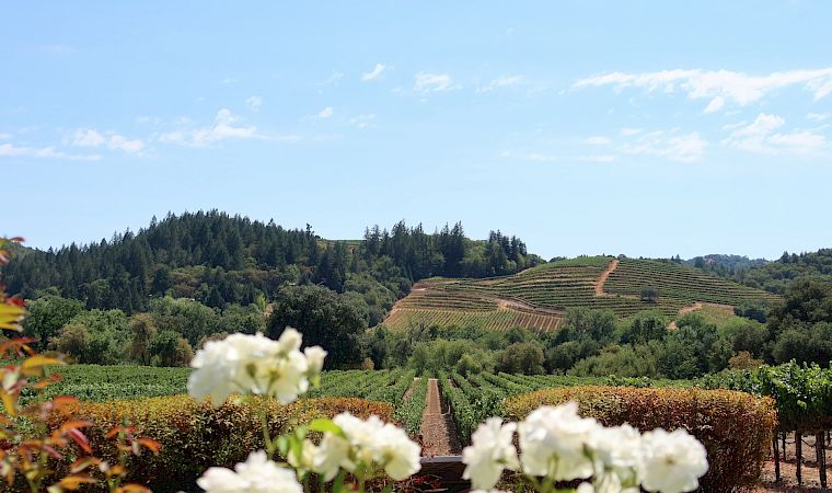 Casa Mani Resort Napa Valley