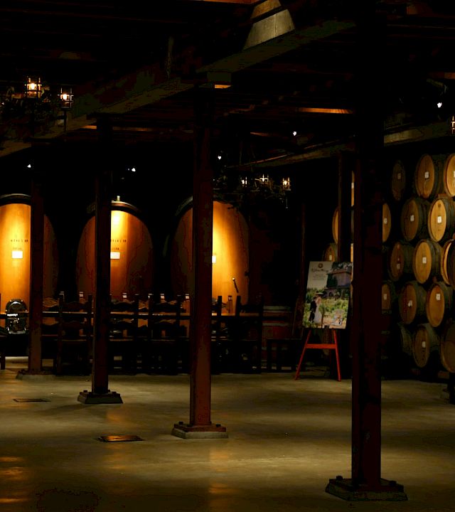 A dim winery cellar with rows of oak barrels and casks under warm lantern light.